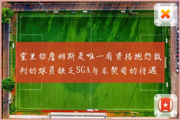 霍里称詹姆斯是唯一有资格抱怨裁判的球员缺乏SGA与东契奇的待遇